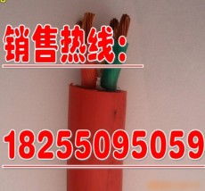 天长市康泰仪表电缆厂 高品质控制电缆的卓越之选